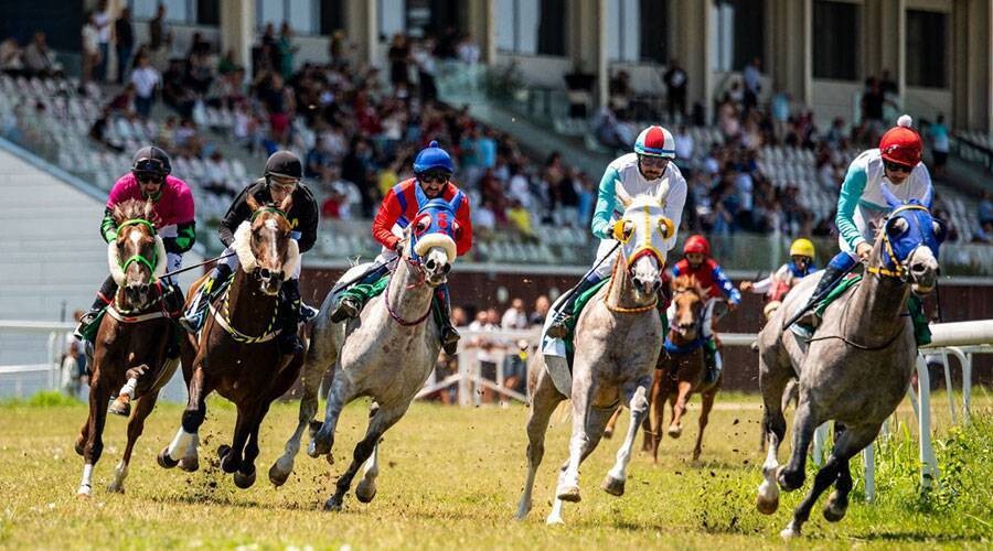 16-й Кубок фестиваля скачек на лошадях Шейха Мансура бин Зайеда Аль Нахаяна в Бухаресте