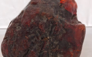 Редкое О 발견ии янтаря в Бузэу, Румыния